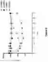 Fig. 09 - ANTI-CD40 ANTIBODIES AND USES THEREOF