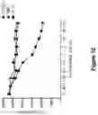 Fig. 13 - ANTI-CD40 ANTIBODIES AND USES THEREOF