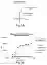 Fig. 05 - COMBINATION THERAPIES COMPRISING ANTIBODY MOLECULES TO TIM-3