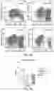 Fig. 07 - COMBINATION THERAPIES COMPRISING ANTIBODY MOLECULES TO TIM-3