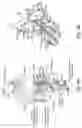 Fig. 10 - COMBINATION THERAPIES COMPRISING ANTIBODY MOLECULES TO TIM-3