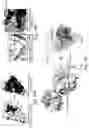 Fig. 11 - COMBINATION THERAPIES COMPRISING ANTIBODY MOLECULES TO TIM-3