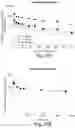 Fig. 24 - COMBINATION THERAPIES COMPRISING ANTIBODY MOLECULES TO TIM-3
