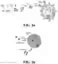 Fig. 02 - Therapeutic nanomaterials