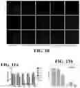 Fig. 11 - Therapeutic nanomaterials
