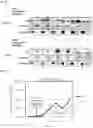 Fig. 07 - BISPHOSPHONATE-LINKED COMPOUNDS