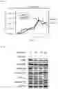Fig. 08 - BISPHOSPHONATE-LINKED COMPOUNDS
