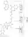 Fig. 03 - CAMPTOTHECIN-BASED DIMER COMPOUND, ANTICANCER DRUG AND METHOD OF ELIMINATING CANCER STEM CELL