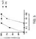 Fig. 06 - CAMPTOTHECIN-BASED DIMER COMPOUND, ANTICANCER DRUG AND METHOD OF ELIMINATING CANCER STEM CELL