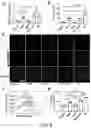 Fig. 07 - CAMPTOTHECIN-BASED DIMER COMPOUND, ANTICANCER DRUG AND METHOD OF ELIMINATING CANCER STEM CELL
