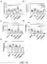 Fig. 15 - CAMPTOTHECIN-BASED DIMER COMPOUND, ANTICANCER DRUG AND METHOD OF ELIMINATING CANCER STEM CELL