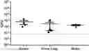 Fig. 01 - ANTIMICROBIAL SCAFFOLDS
