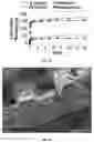Fig. 04 - ANTIMICROBIAL SCAFFOLDS