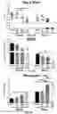 Fig. 07 - ANTIMICROBIAL SCAFFOLDS