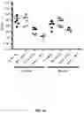 Fig. 17 - ANTIMICROBIAL SCAFFOLDS