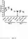 Fig. 19 - ANTIMICROBIAL SCAFFOLDS