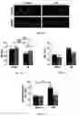 Fig. 10 - GLYCOCALYX MIMETIC COATINGS