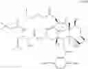 Fig. 09 - Preparation of maytansinoid antibody conjugates by a one-step process