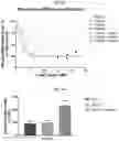 Fig. 56 - Compositions and methods of treating muscle atrophy and myotonic dystrophy