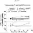 Fig. 60 - Compositions and methods of treating muscle atrophy and myotonic dystrophy
