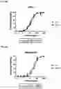 Fig. 03 - ROR1 ANTIBODY IMMUNOCONJUGATES