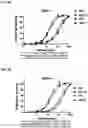 Fig. 04 - ROR1 ANTIBODY IMMUNOCONJUGATES