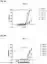 Fig. 09 - ROR1 ANTIBODY IMMUNOCONJUGATES