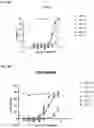Fig. 10 - ROR1 ANTIBODY IMMUNOCONJUGATES