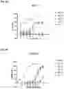 Fig. 11 - ROR1 ANTIBODY IMMUNOCONJUGATES