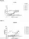 Fig. 12 - ROR1 ANTIBODY IMMUNOCONJUGATES