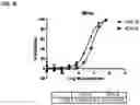 Fig. 13 - ROR1 ANTIBODY IMMUNOCONJUGATES