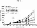 Fig. 19 - ROR1 ANTIBODY IMMUNOCONJUGATES