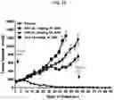 Fig. 20 - ROR1 ANTIBODY IMMUNOCONJUGATES