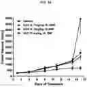 Fig. 21 - ROR1 ANTIBODY IMMUNOCONJUGATES
