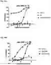 Fig. 24 - ROR1 ANTIBODY IMMUNOCONJUGATES