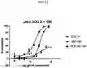 Fig. 26 - ROR1 ANTIBODY IMMUNOCONJUGATES