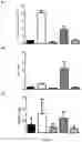 Fig. 05 - Composition Comprising a Combination of Immune Checkpoint Inhibitor and Antibody-Amatoxin Conjugate for Use in Cancer Therapy