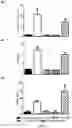 Fig. 06 - Composition Comprising a Combination of Immune Checkpoint Inhibitor and Antibody-Amatoxin Conjugate for Use in Cancer Therapy