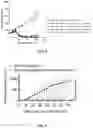 Fig. 09 - Composition Comprising a Combination of Immune Checkpoint Inhibitor and Antibody-Amatoxin Conjugate for Use in Cancer Therapy