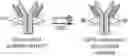 Fig. 01 - TRANSGLUTAMINASE CONJUGATION METHOD WITH A GLYCINE BASED LINKER