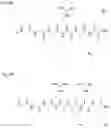 Fig. 09 - TRANSGLUTAMINASE CONJUGATION METHOD WITH A GLYCINE BASED LINKER