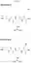 Fig. 10 - TRANSGLUTAMINASE CONJUGATION METHOD WITH A GLYCINE BASED LINKER
