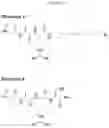 Fig. 11 - TRANSGLUTAMINASE CONJUGATION METHOD WITH A GLYCINE BASED LINKER