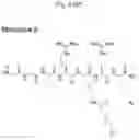 Fig. 12 - TRANSGLUTAMINASE CONJUGATION METHOD WITH A GLYCINE BASED LINKER