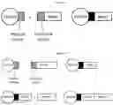 Fig. 08 - Methods for assembling scavenging particles