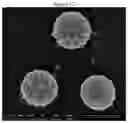 Fig. 12 - Methods for assembling scavenging particles