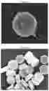 Fig. 13 - Methods for assembling scavenging particles