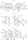 Fig. 19 - Methods for assembling scavenging particles