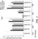 Fig. 03 - VECTORS COMPRISING A NUCLEIC ACID ENCODING LYSOSOMAL ENZYMES FUSED TO A LYSOSOMAL TEARGETING SEQUENCE