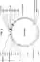 Fig. 04 - VECTORS COMPRISING A NUCLEIC ACID ENCODING LYSOSOMAL ENZYMES FUSED TO A LYSOSOMAL TEARGETING SEQUENCE